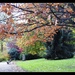 Arboretum Colours  1 by oldjosh