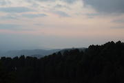 15th Oct 2019 - Tree line at sunset