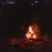 Bonfire by judyc57
