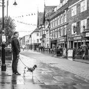 7th Nov 2019 - One man and his dog