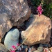 Garden rocks by shutterbug49