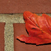 T-Leaf by granagringa