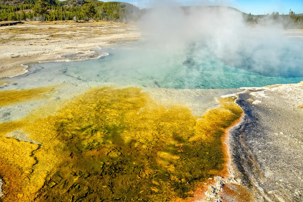 The Magic of Yellowstone by danette