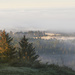 Foggy Morning  by jgpittenger