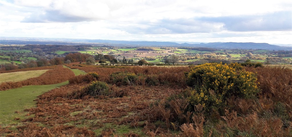 View from Hergest Ridge by susiemc