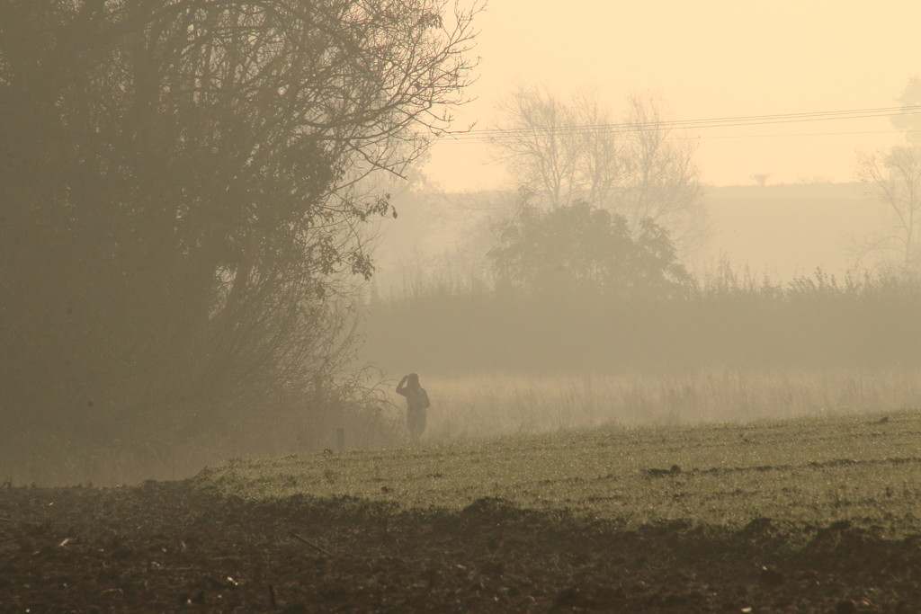 A Walk In The Mist by shepherdman