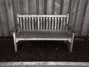 29th Oct 2019 - Bench in the Rain