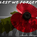 We will remember them by stuart46