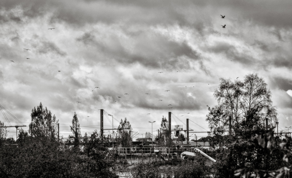 Industrial Landscape 2... by vignouse