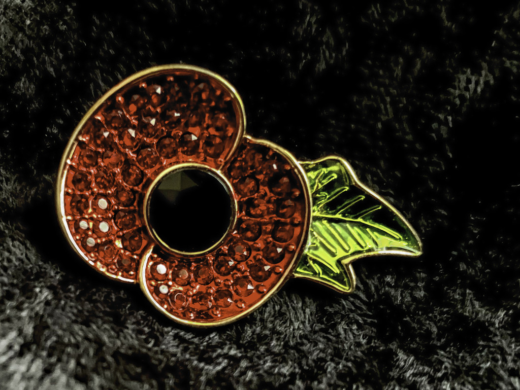 Wear your poppy with pride by pamknowler