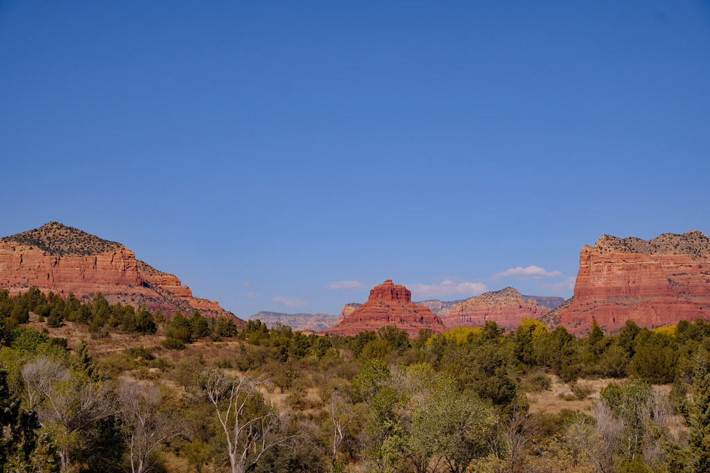 Bell Rock  by tosee