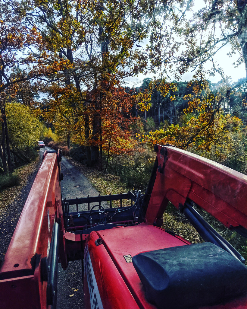 View from a tractor by mattjcuk