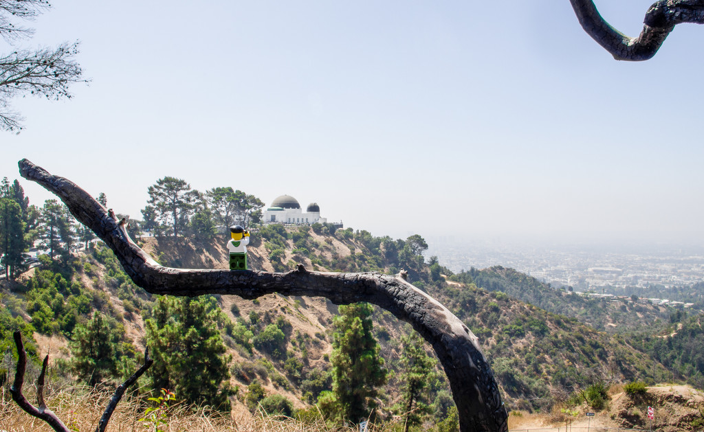 (Day 271) - Observatory on the Hill by cjphoto