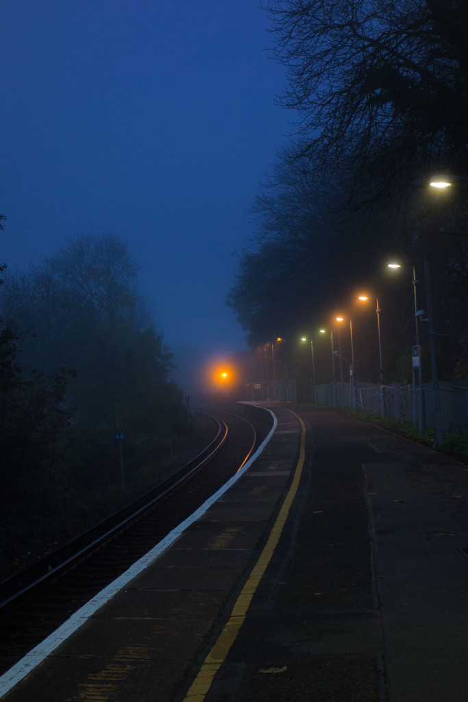 The morning mist by rumpelstiltskin