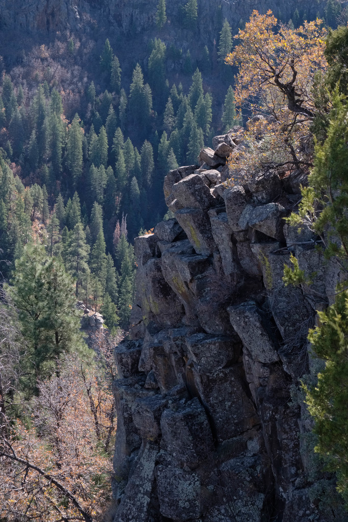 Oak Creek Canyon by tosee