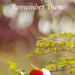 Remember Them  by mzzhope