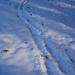 The tracks of a granddaughter by tunia