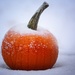 Snow On The Pumpkin by paintdipper