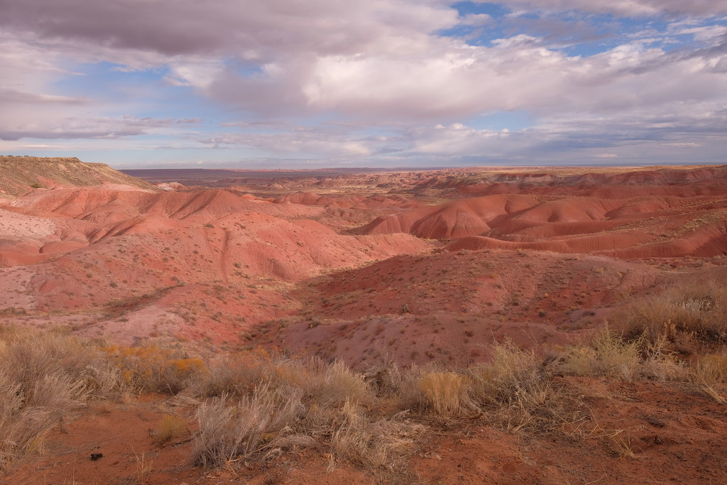 The Painted Desert by tosee