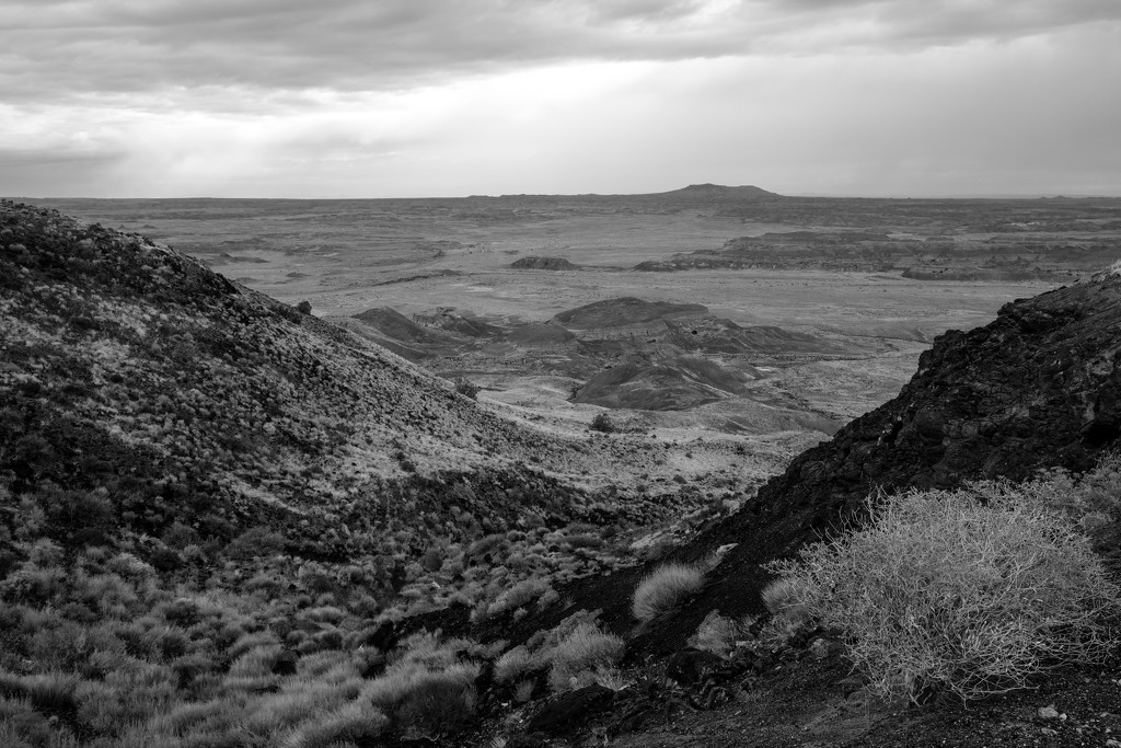 Painted Desert iii by tosee