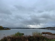 12th Nov 2019 - Carsington Water