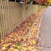 Autumn on Coppermill Lane by boxplayer