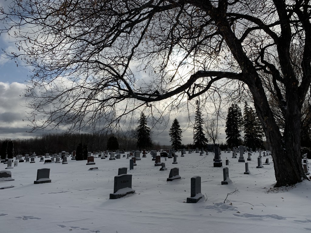 Cemetery  by radiogirl