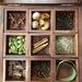 Indian spice box by momamo