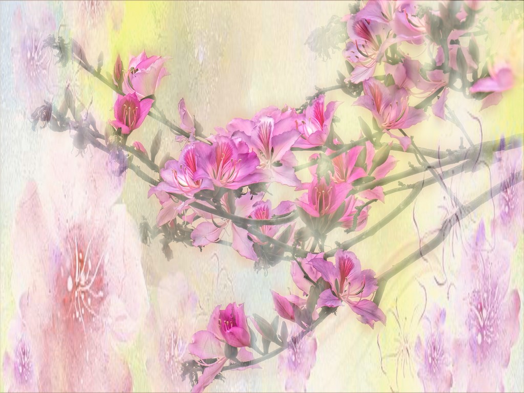More Peach blossoms by ludwigsdiana