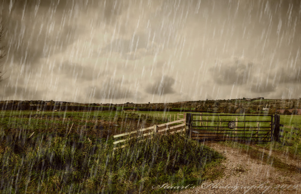 Rain, rain go away by stuart46