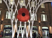 11th Nov 2019 - We Will Remember Them