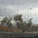 rain... by earthbeone