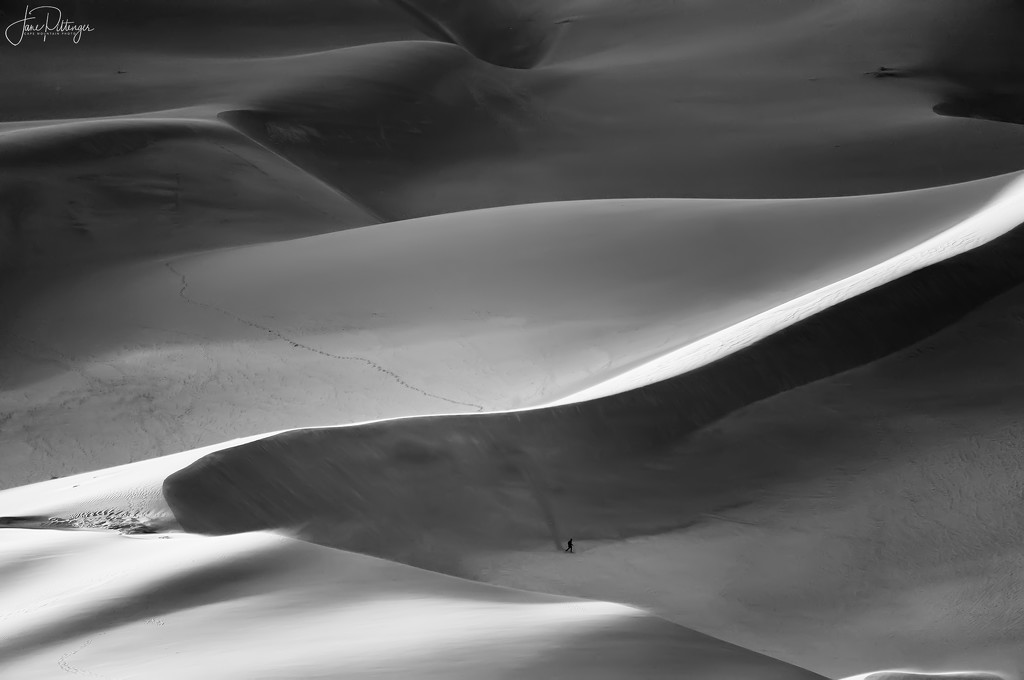 Dune Walker High Contrast B and W  by jgpittenger