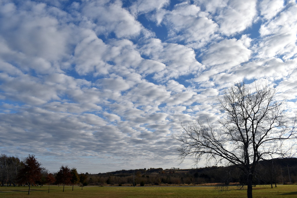 Marshmallow Clouds by genealogygenie