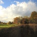 Golf Course  near Duffield by oldjosh
