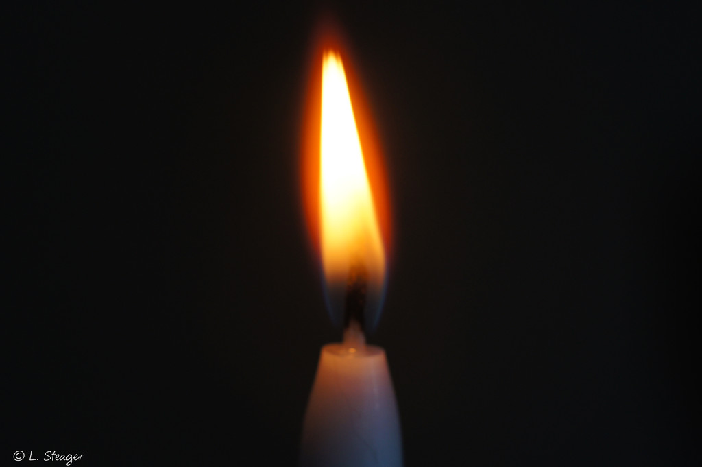 Single flame by larrysphotos