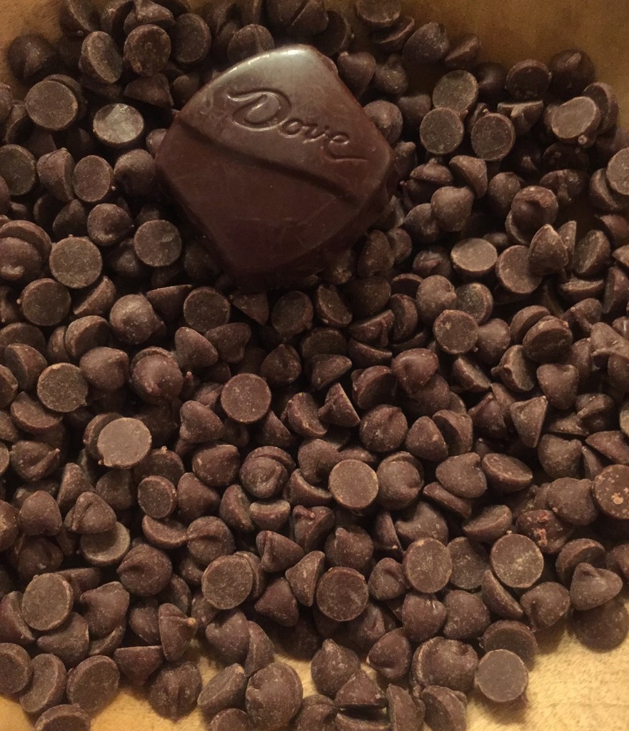 Chocolate on Chocolate by mcsiegle