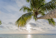 13th Aug 2019 - Sunset in Rarotonga