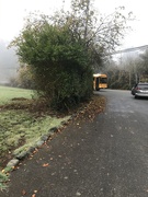 18th Nov 2019 - At the morning bus stop