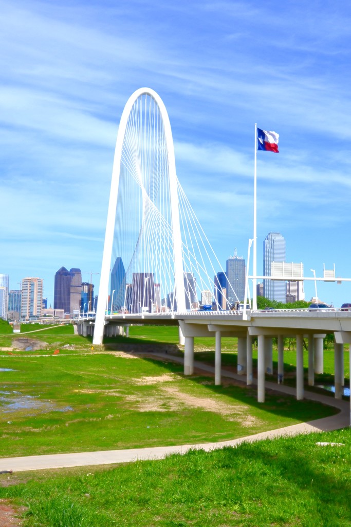 The Margaret Hunt Hill Bridge in Dallas by louannwarren