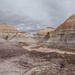 Petrified National Forest by tosee
