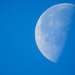 Blue Moon by phil_sandford