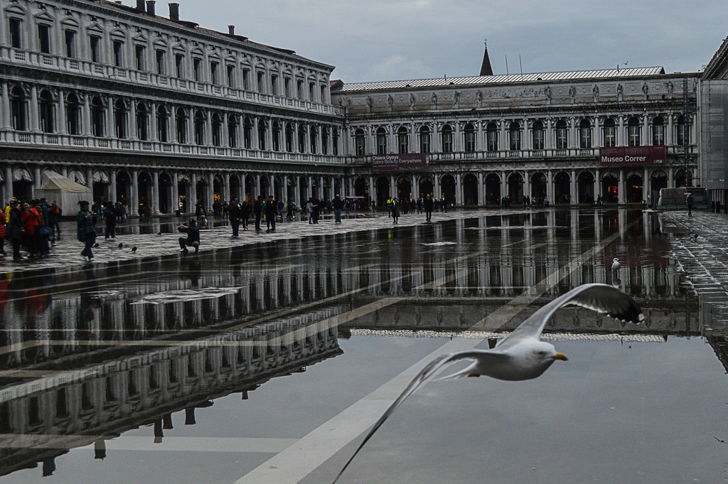 Piazza San Marco flooded by caterina