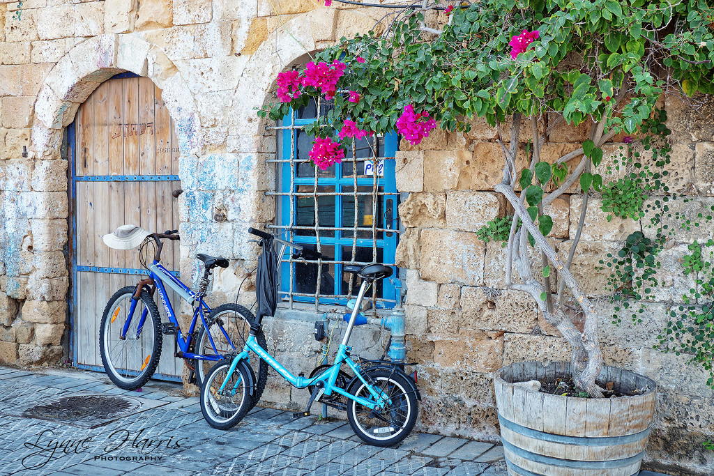 Jaffa, Israel by lynne5477