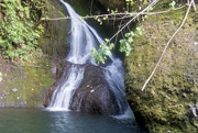 17th Aug 2019 - Rarotonga's only waterfall