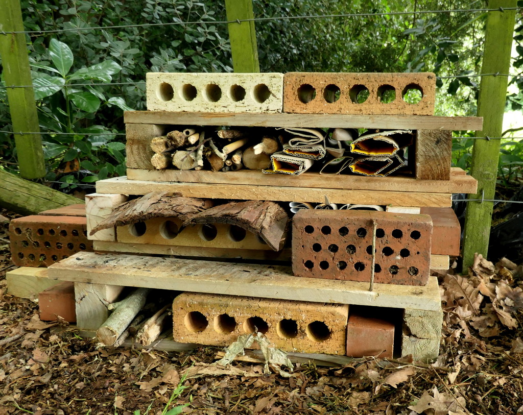 The insect hotel by dide