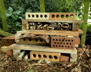 19th Nov 2019 - The insect hotel