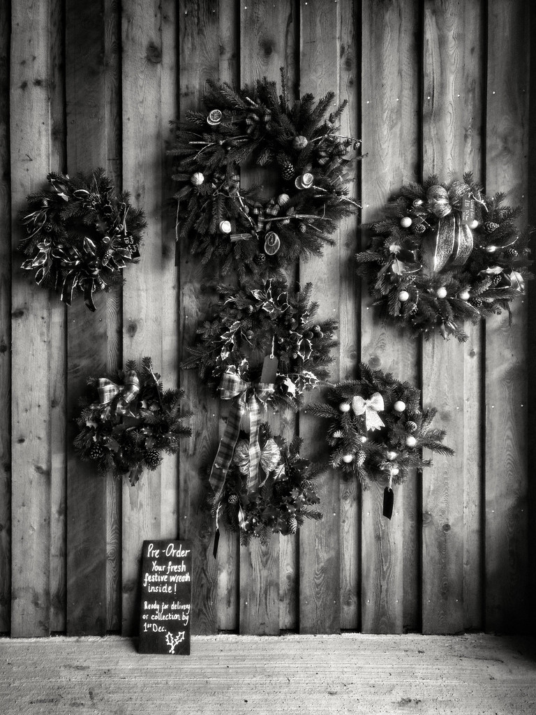 Wreaths by jamesleonard