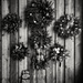 Wreaths by jamesleonard