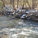 nearby creek by stillmoments33